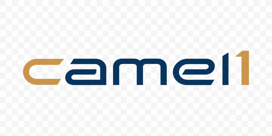 Camel1